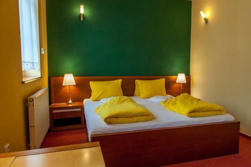 Hostal Penzion U Pejtrika