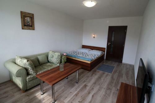 Apartment Igor