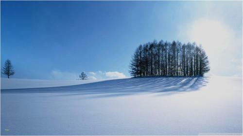 Hostal Penzi�n Roal Pieniny