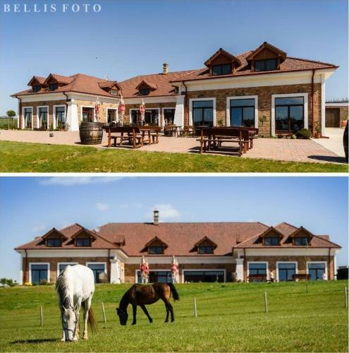 Hostal St. Petrus Vini
