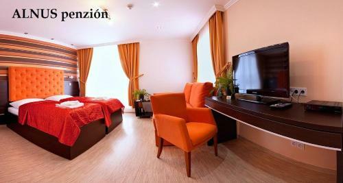 Hostal Alnus Penzion