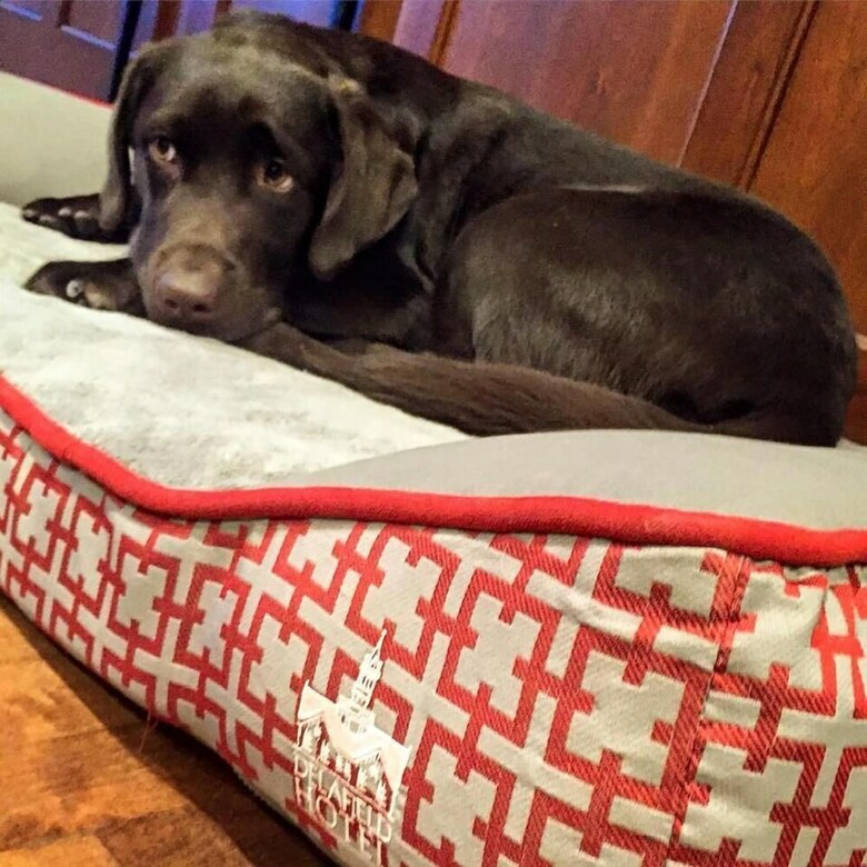 The Delafield Hotel