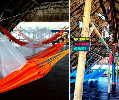 Isla Roots Hostel