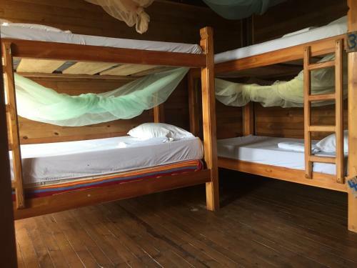 Isla Roots Hostel