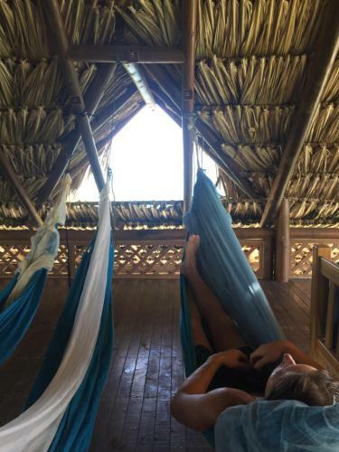 Isla Roots Hostel