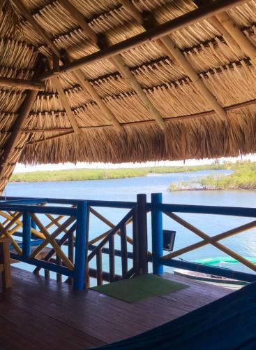 Isla Roots Hostel