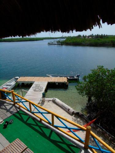 Isla Roots Hostel