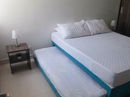 Apartamento Reserva De Pe�alisa