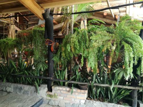 Hotel Caba�a Guainiana