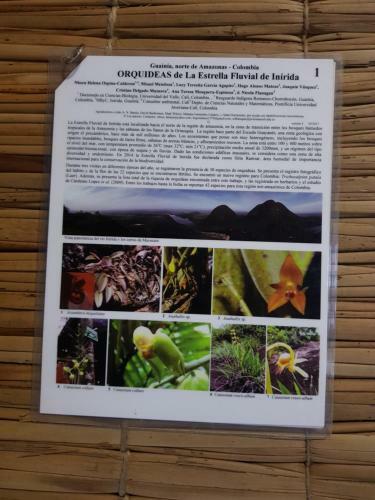 Hotel Caba�a Guainiana
