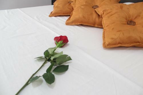 Hotel La Llanerita