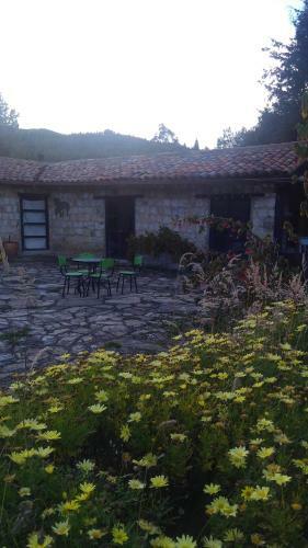 Mandala Campestre - 1