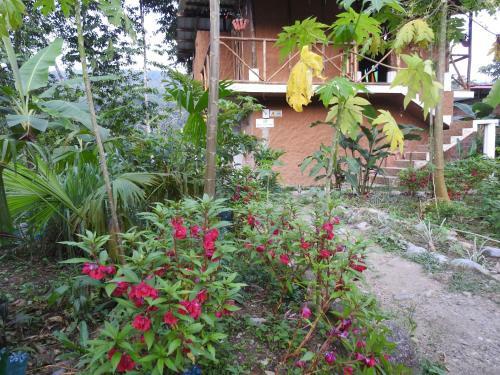 Lodge Posada Turistica Dantayaco