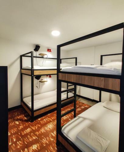 Hostal Zamia Hostel