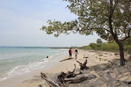 Albergue Caba�a Punta Coral