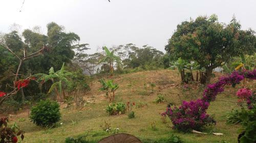 Posada Casa Cafe - Samaland
