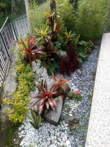Agroturismo Jardines De Berlin