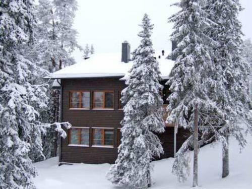 Holiday Home Karhunvartijan Pirtti B2