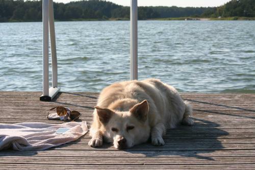 Bed & Breakfast Erkas G�rden