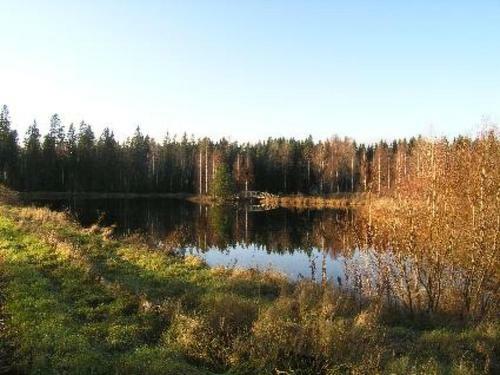 Holiday Home Merit�hti