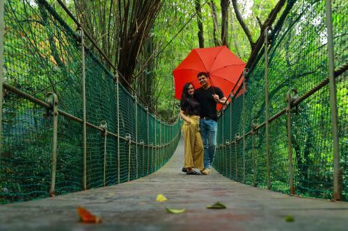 Hotel Vythiri Resort