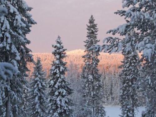 Holiday Home Villa Vuosselin Taiga