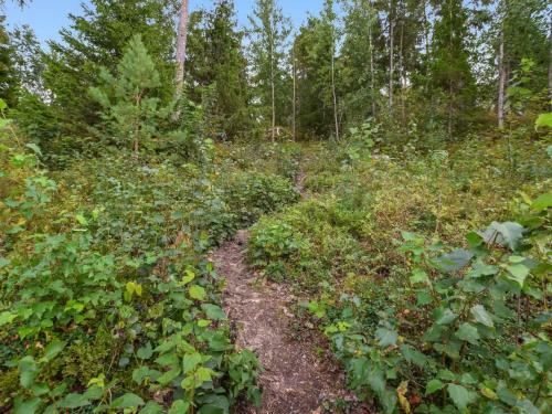 Holiday Home Isokoskelo 5
