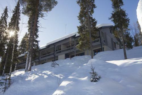Hotel Paljakka M�kit