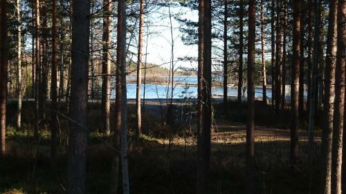 Villa Kuhahuvila, Maatilamatkailu Ilom�ki
