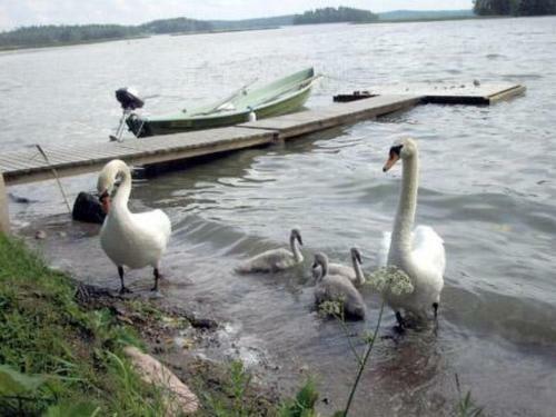 Holiday Home Rannantupa