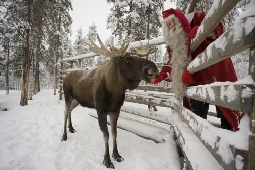 Hotel Lapland Igloo