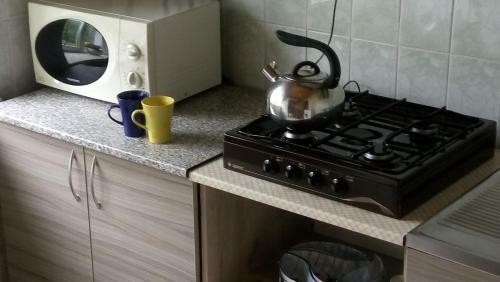 Apartment On Pushkina