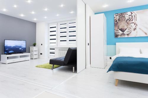 Apartment Roomer 10