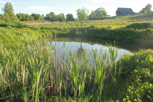 Agroturismo Chudesnye Holmy