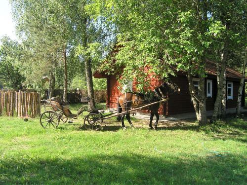 Agroturismo Tikhiy Dom