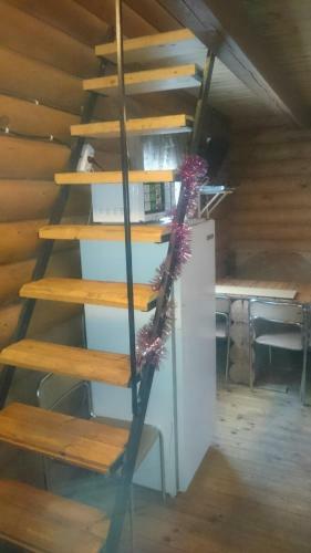 Usadba Krolchya Nora
