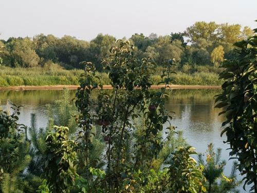 River Club