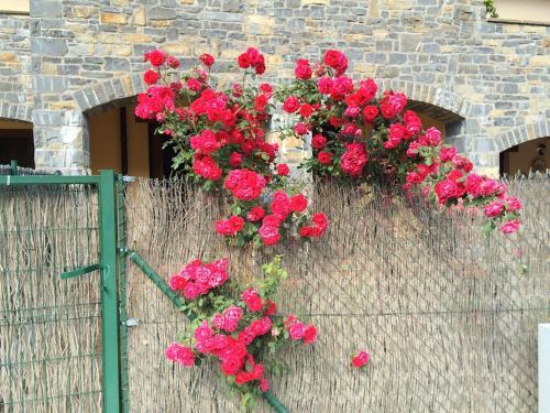 Apartamentos Portal De Ordesa