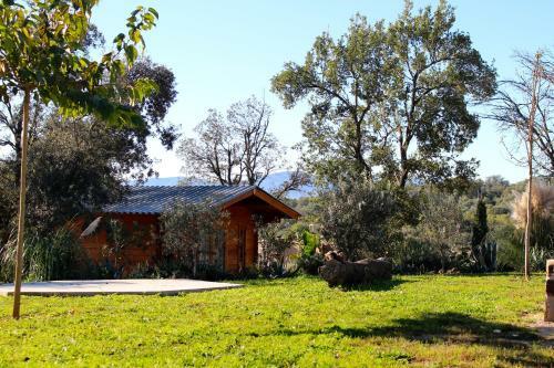 Bed & Breakfast Masia La Pineda