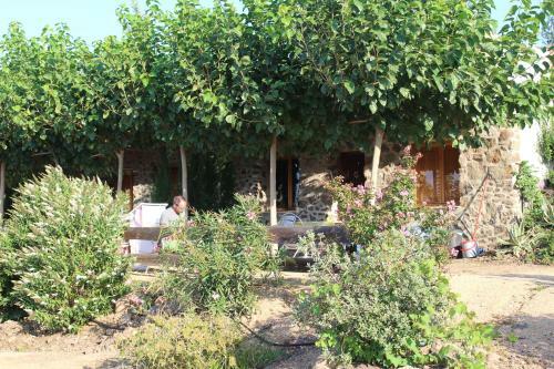 Bed & Breakfast Masia La Pineda
