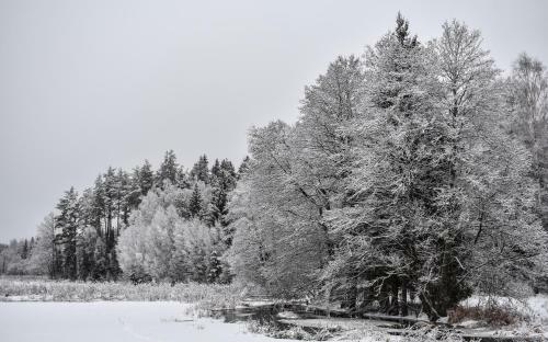 Lodge Usadba Trabutishki