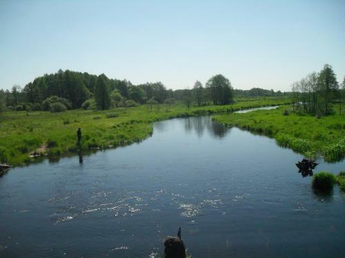 Apartamento Usadba Pushhanka