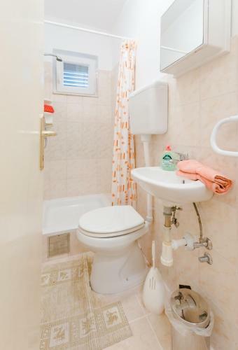 Apartment Ljubomir Mastrinka