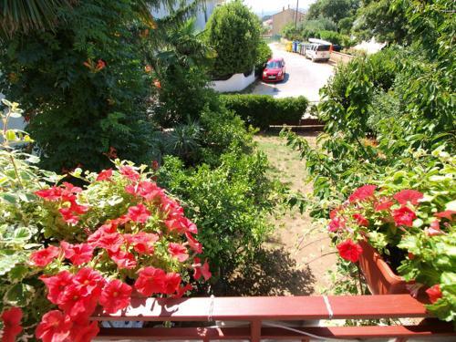 Apartments Roza 712