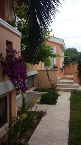 Apartments Vladimir 1262