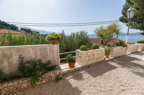 Apartment Kamelija