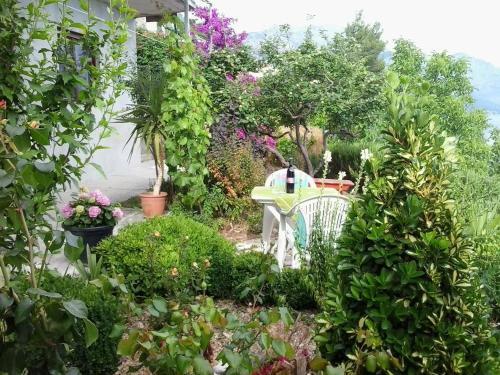 Apartamentos Studio Pisak 16411a