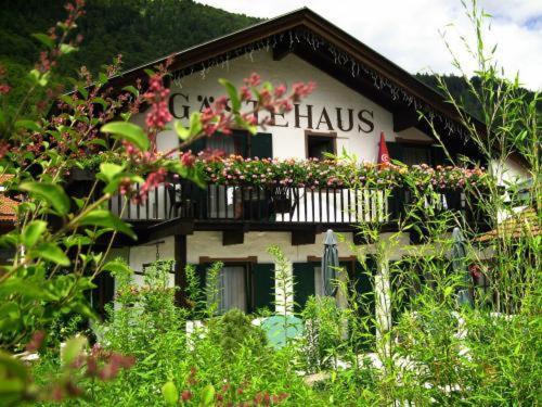 Hostal Hotel Edelwei�