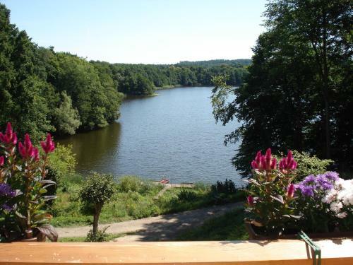 Waldseehotel Frenz