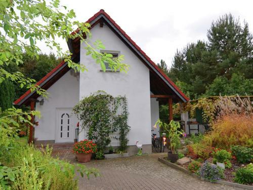 Waldblick